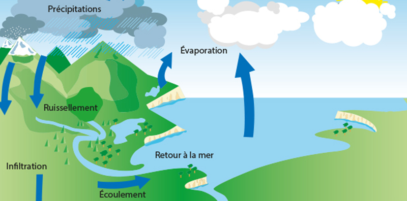 Le cycle de l’eau