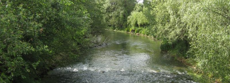 Contrat territorial de restauration des milieux aquatiques Auron, Airain et affluents